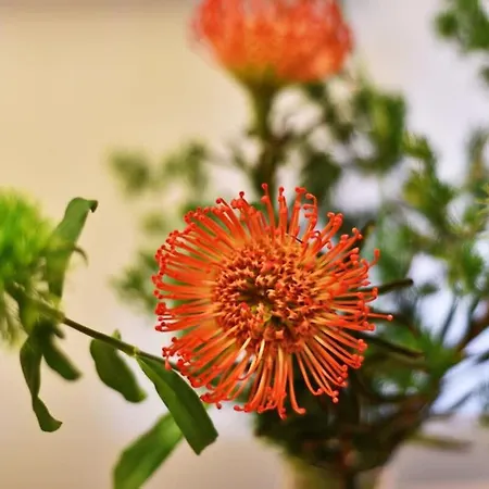 Domillion 2bdr 2bath On Vokieciu W Parking V1020a Wilno