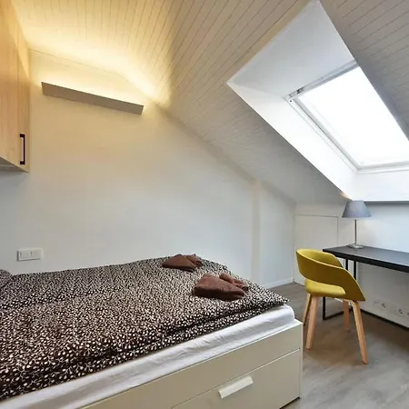 Domillion 2bdr 2bath On Vokieciu W Parking V1020a Апартаменты *