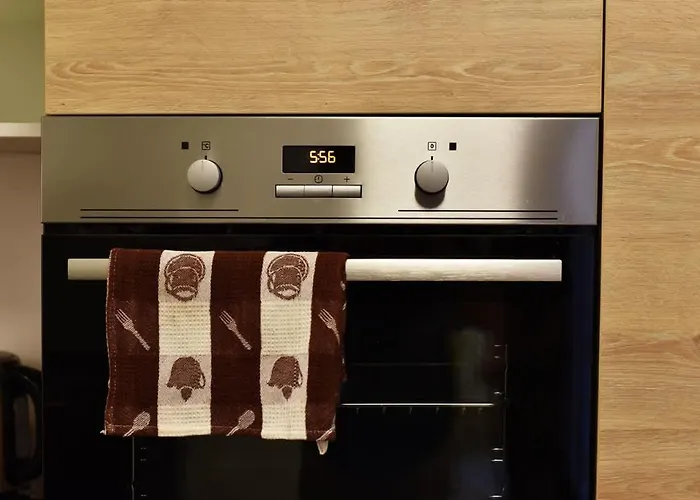 Domillion 2bdr 2bath On Vokieciu W Parking V1020a Daire *