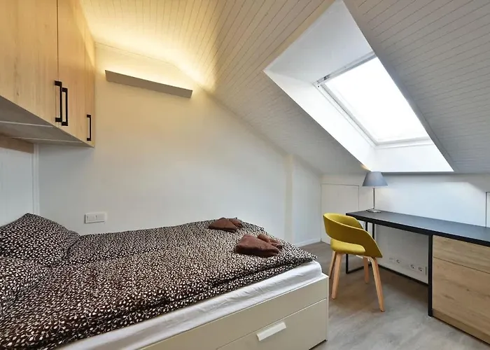 Domillion 2bdr 2bath On Vokieciu W Parking V1020a Daire *