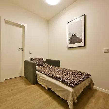 Domillion 2bdr 2bath On Vokieciu W Parking V1020a