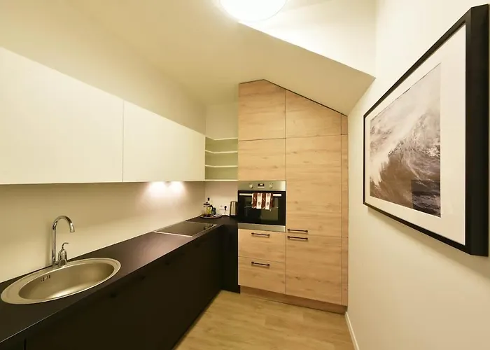 Domillion 2bdr 2bath On Vokieciu W Parking V1020a * Вильнюс