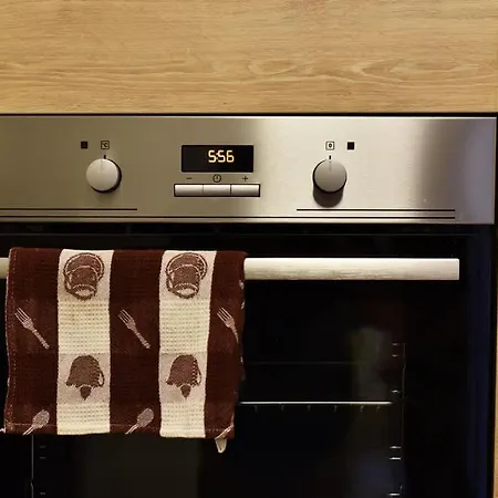 Domillion 2bdr 2bath On Vokieciu W Parking V1020a דירה *