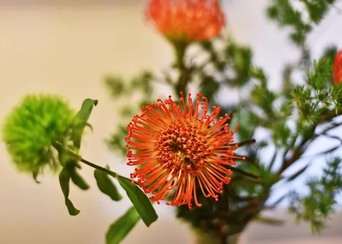 Domillion 2bdr 2bath On Vokieciu W Parking V1020a וילנה